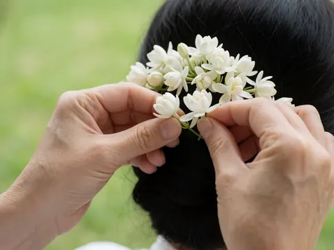 Des mains délicates placent des fleurs de jasmin blanc dans des cheveux sombres sur un fond vert flou, évoquant la préparation artistique.
