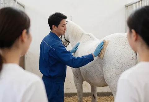 Un homme portant des gants bleus brosse la robe d'un cheval blanc dans une écurie aux murs blancs, tandis que deux personnes observent depuis l'arrière-plan.
