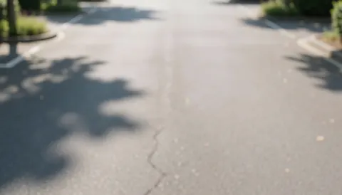 Fond flou d'un parking pavé avec des ombres d'arbres et des lignes blanches, idéal pour ajouter du texte commercial.