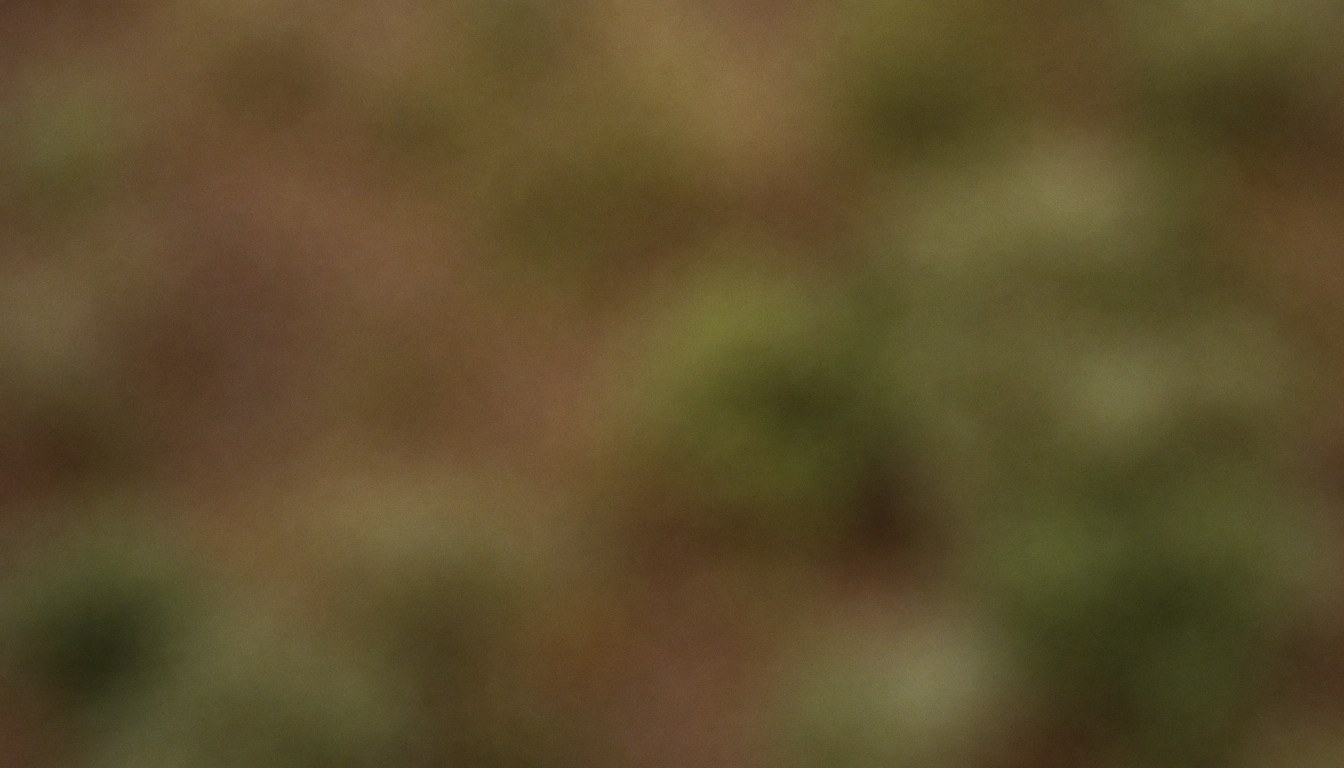 Arrière-plan flou avec texture de terre marron et verte, idéal pour textes, éclairage diffus et bokeh doux pour le design graphique.
