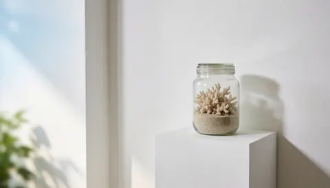 Vase en corail posé sur un piédestal blanc, idéal pour un photographe sous-marin, éclairage naturel et fond blanc.