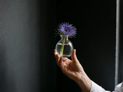 Une main tenant un vase en verre transparent contenant une fleur pourpre, éclairage focalisé sur fond sombre, idéal pour la décoration d'événements.