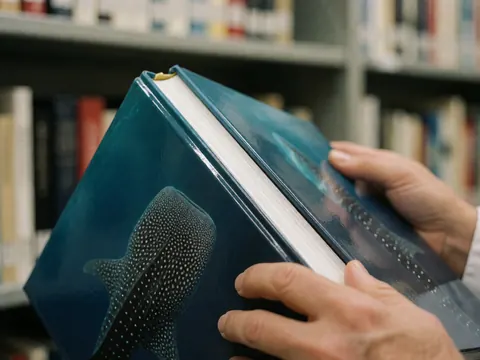 Des mains tenant un livre à couverture rigide orné d'un requin-baleine, posé sur une étagère de bibliothèque.