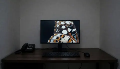 Bureau sombre avec un écran montrant une photo macro d'un papillon, adapté pour un photographe spécialisé en macrophotographie dans son espace de travail.