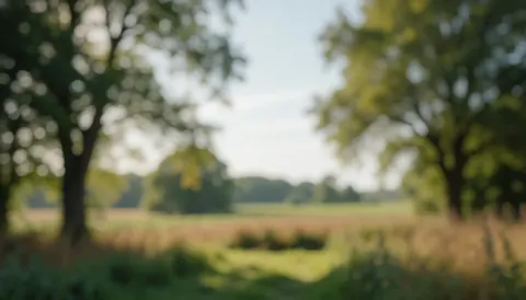 Paysage rural flou avec arbres et champs, idéal pour des textes sur la documentation culturelle, offrant une atmosphère sereine et naturelle