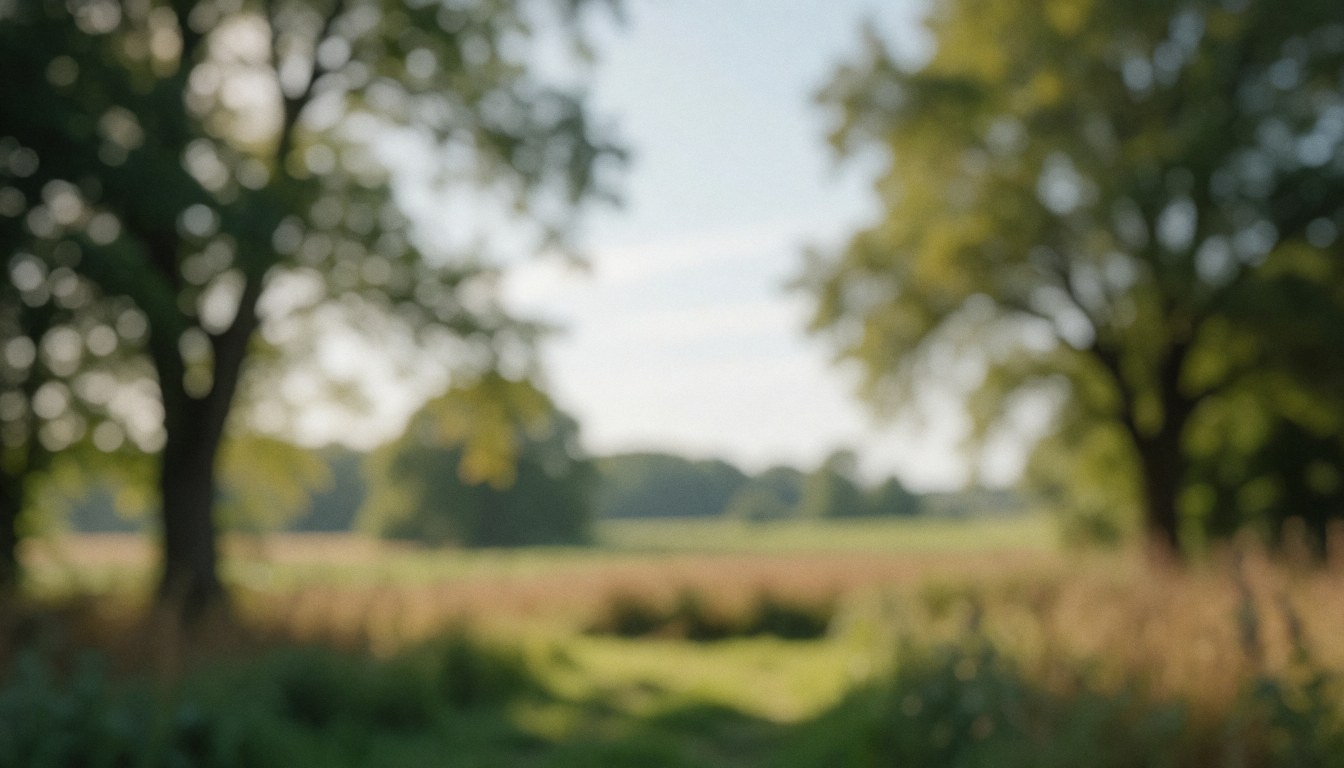 Paysage rural flou avec arbres et champs, idéal pour des textes sur la documentation culturelle, offrant une atmosphère sereine et naturelle