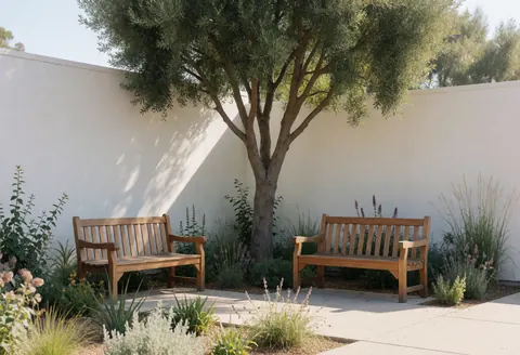 Deux bancs en bois placés sous un grand arbre dans un parc écologique, entourés de plantes natives et d'un mur blanc, offrant un espace de repos au milieu de la nature.