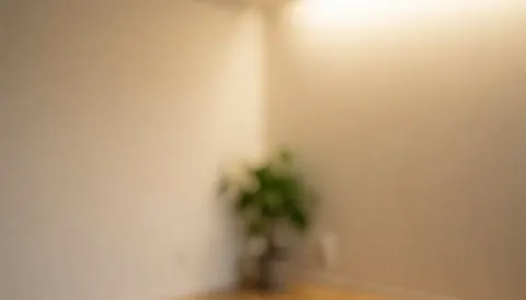 Coin d'étude avec murs beige, plante verte et lumière chaude, idéal pour textes de yoga.