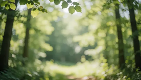 Fond de forêt avec lumière du soleil filtrant à travers des feuilles vertes, créant une atmosphère naturelle et apaisante, idéal pour des textes commerciaux.