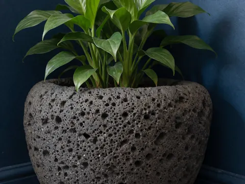 Un pot en pierre volcanique contenant une plante verte est posé dans un coin contre un mur bleu foncé, servant de décoration pour une maison de vacances.