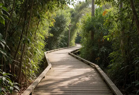 Un sentier en bois sinueux traverse une végétation luxuriante sous un éclairage naturel filtré, créant une ambiance invitante pour l'exploration en plein air.