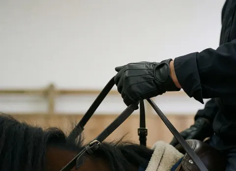 Gant noir tenant des rênes en cuir sur la tête d'un cheval dans un centre équestre avec une clôture en bois en arrière-plan flou
