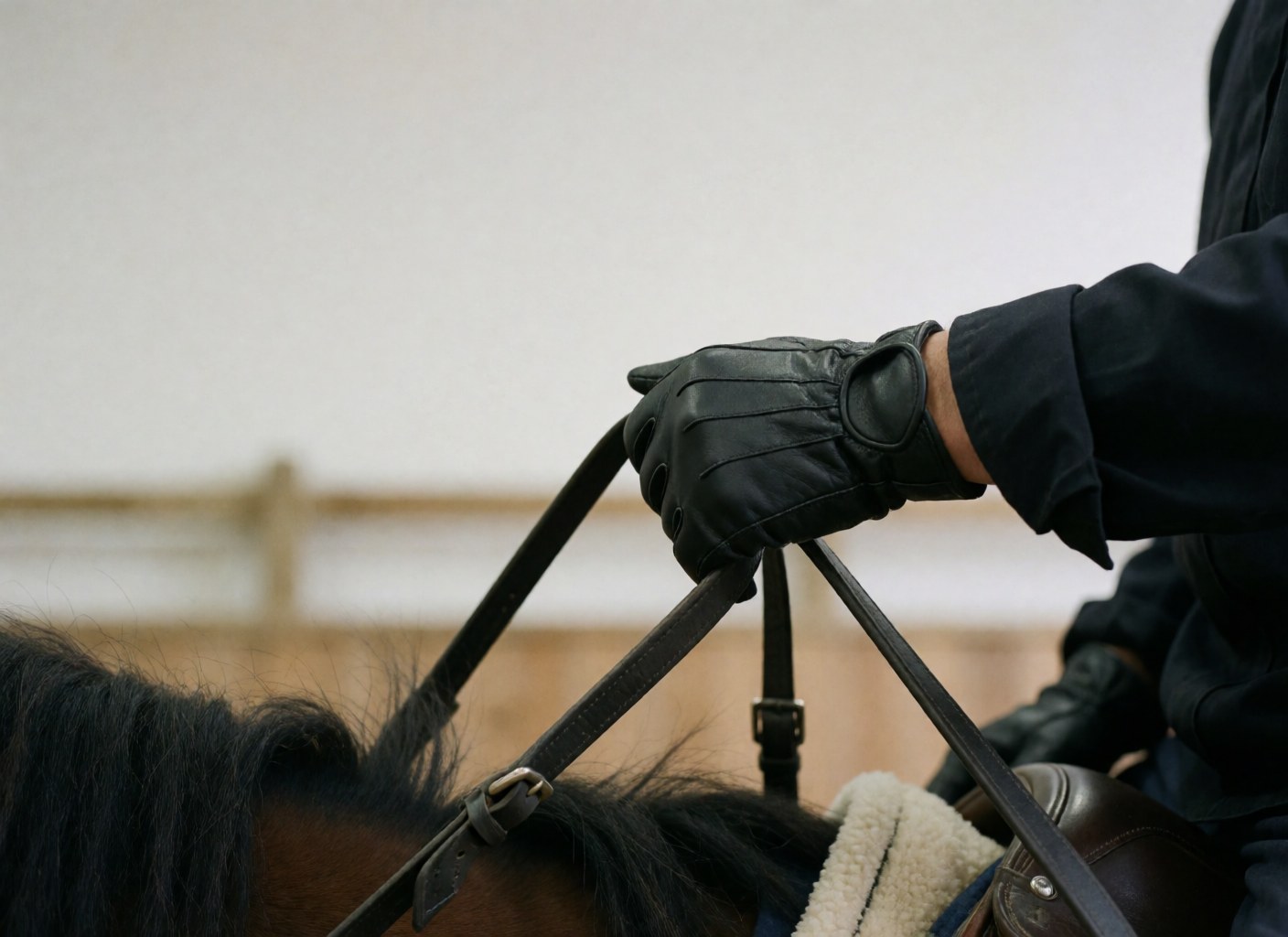 Gant noir tenant des rênes en cuir sur la tête d'un cheval dans un centre équestre avec une clôture en bois en arrière-plan flou