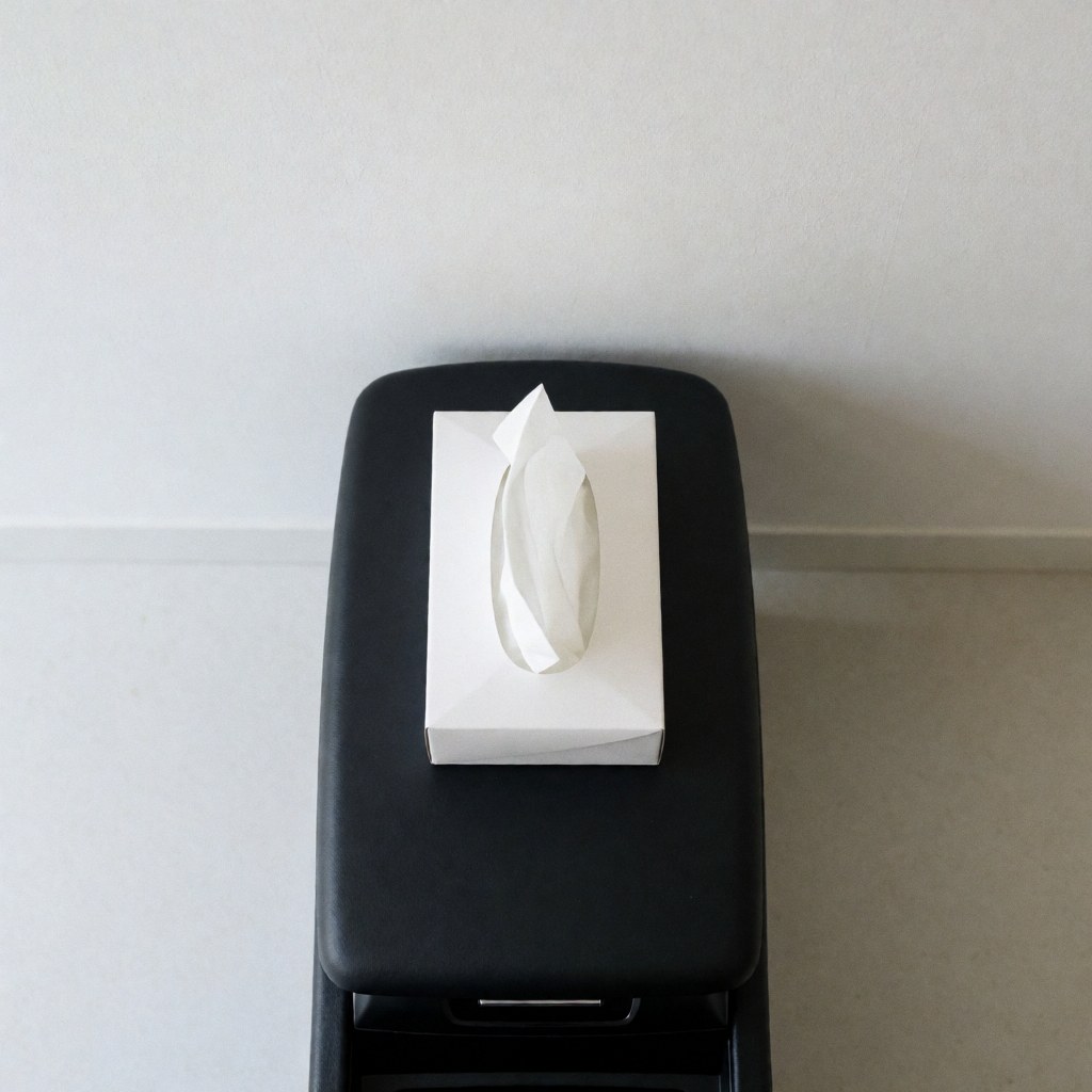 Boîte blanche de mouchoirs jetables posée sur une console noire de voiture, avec un mur blanc et une lumière naturelle, idéale pour les services de transport.