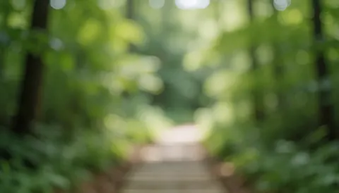 Fond flou d'un sentier en forêt avec des feuilles vertes et de la lumière naturelle, idéal pour des textes liés au camping.